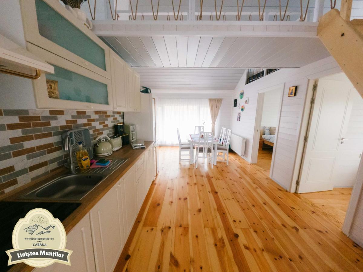 Linistea Muntilor Chalet Porumbacu de Sus Bagian luar foto
