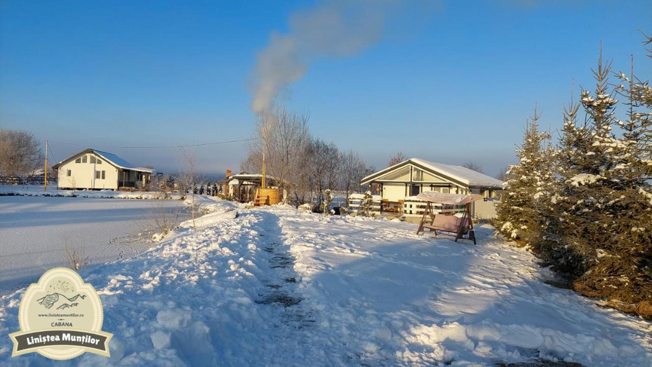 Linistea Muntilor Chalet Porumbacu de Sus Bagian luar foto