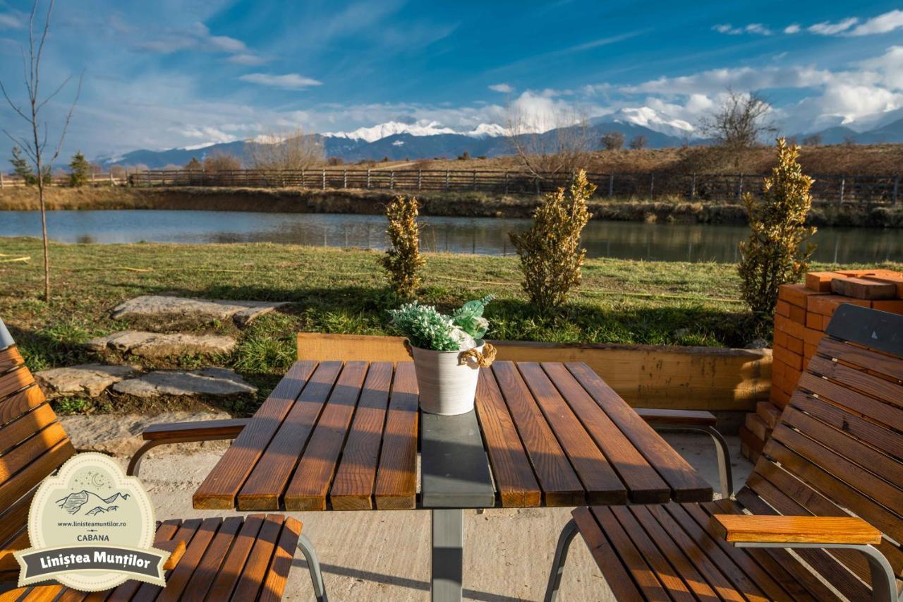 Linistea Muntilor Chalet Porumbacu de Sus Bagian luar foto