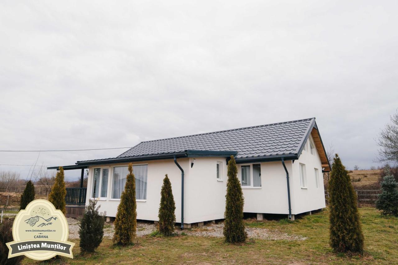 Linistea Muntilor Chalet Porumbacu de Sus Bagian luar foto