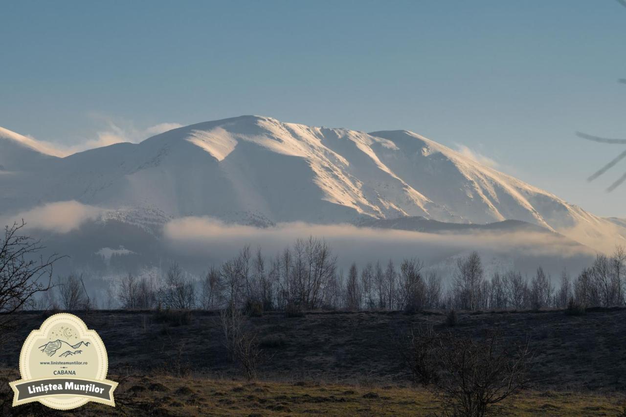 Linistea Muntilor Chalet Porumbacu de Sus Bagian luar foto