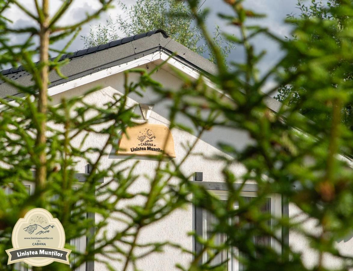 Linistea Muntilor Chalet Porumbacu de Sus Bagian luar foto